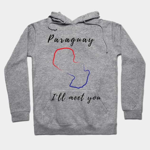 Travelers exotic country Paraguay Hoodie by Eva Passi Arts